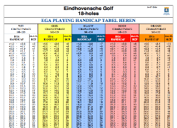 Playing handicaptabel